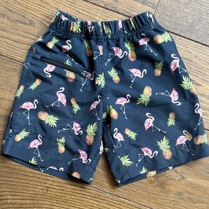 Shredly Flamingo Print Kids Shorts